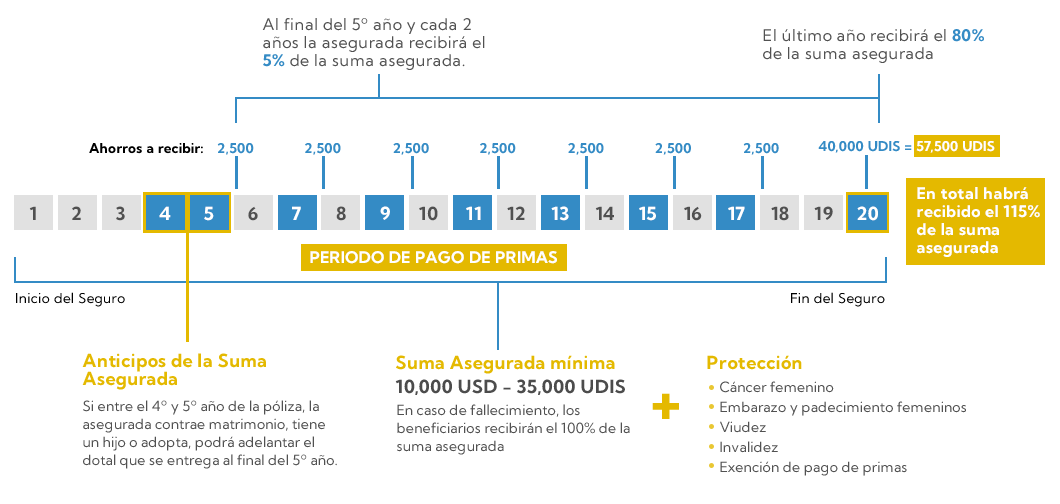 Grafica
